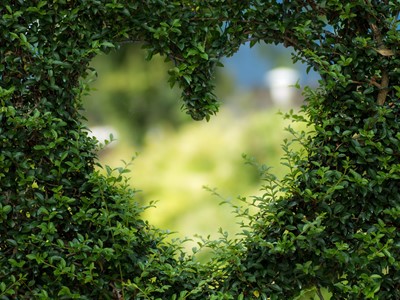 San Valentino Green San Valentino Green